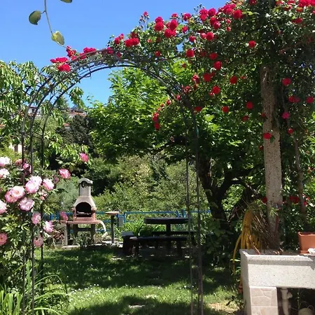 And Knez 招待所 3*