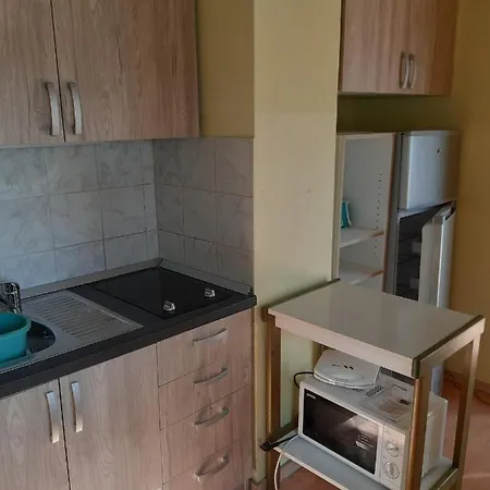 And Knez 3* 波尔托罗