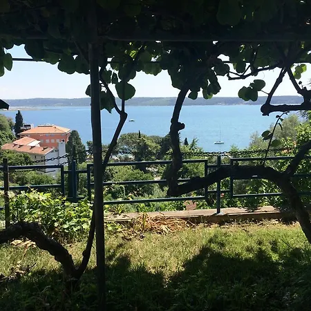Hiša za goste And Knez Portoroz