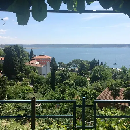 Hiša za goste And Knez