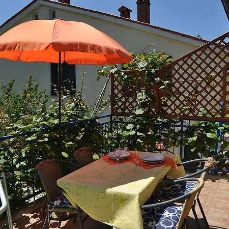 招待所 And Knez 波尔托罗