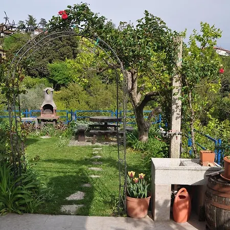 招待所 And Knez 波尔托罗