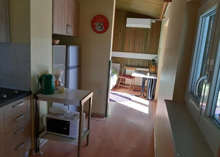 And Knez ゲストハウス ポルトローシュ