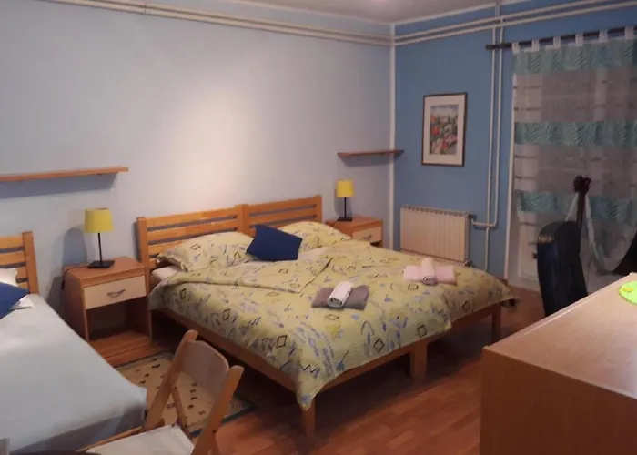 And Knez ゲストハウス ポルトローシュ