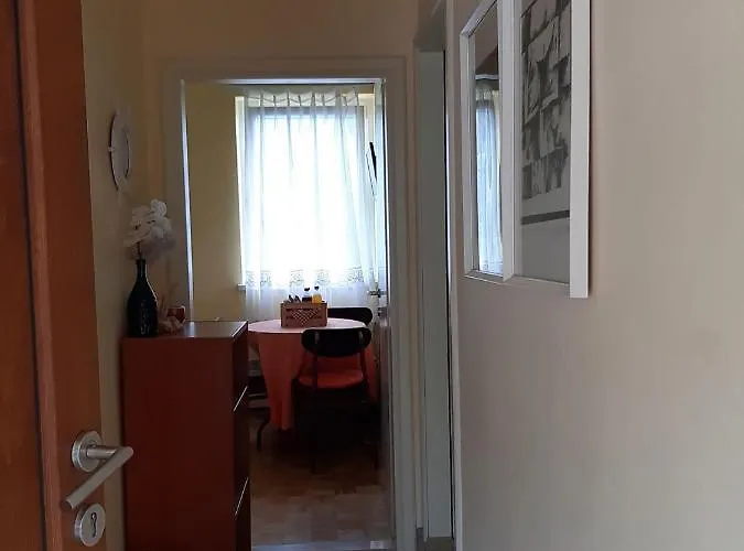 And Knez ポルトローシュ