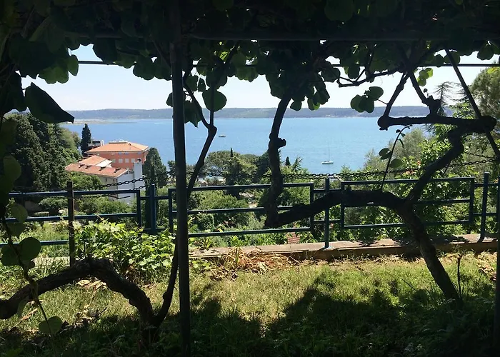 ゲストハウス And Knez ポルトローシュ