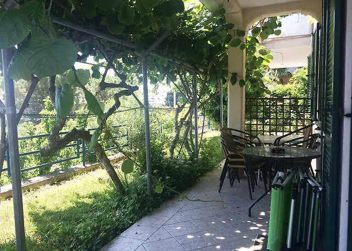 And Knez ポルトローシュ