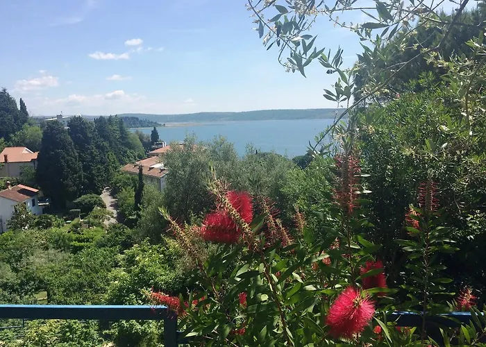 ゲストハウス And Knez ポルトローシュ