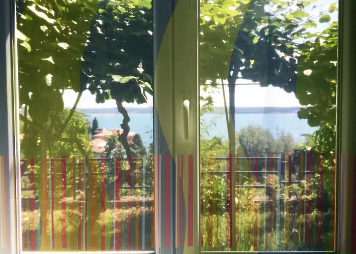 And Knez ポルトローシュ