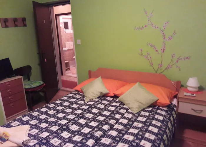 ゲストハウス And Knez ポルトローシュ